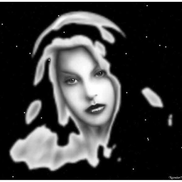 Wallhogs NonWall Damaging Wall Decal Wayfair